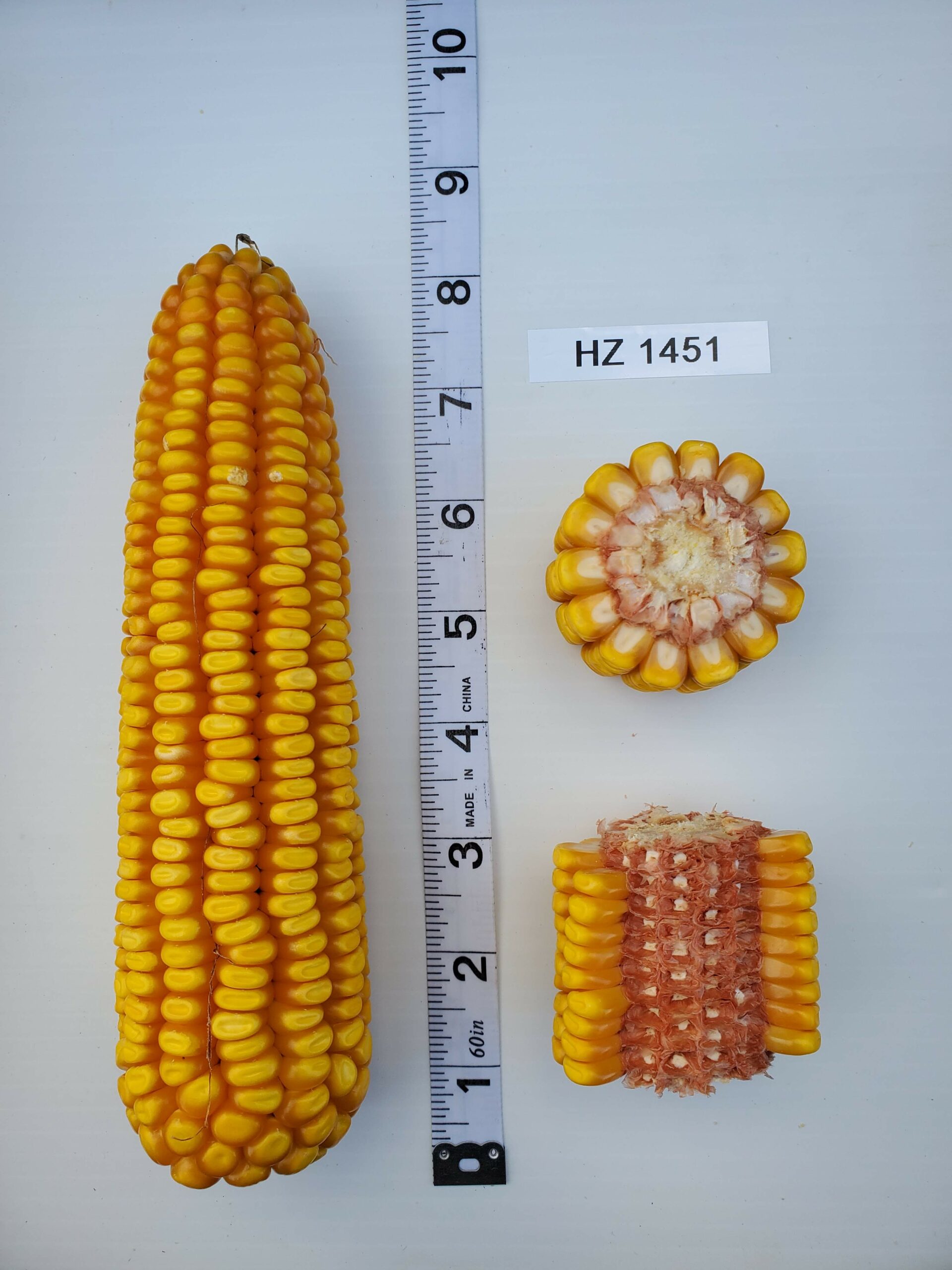 HZ 1451