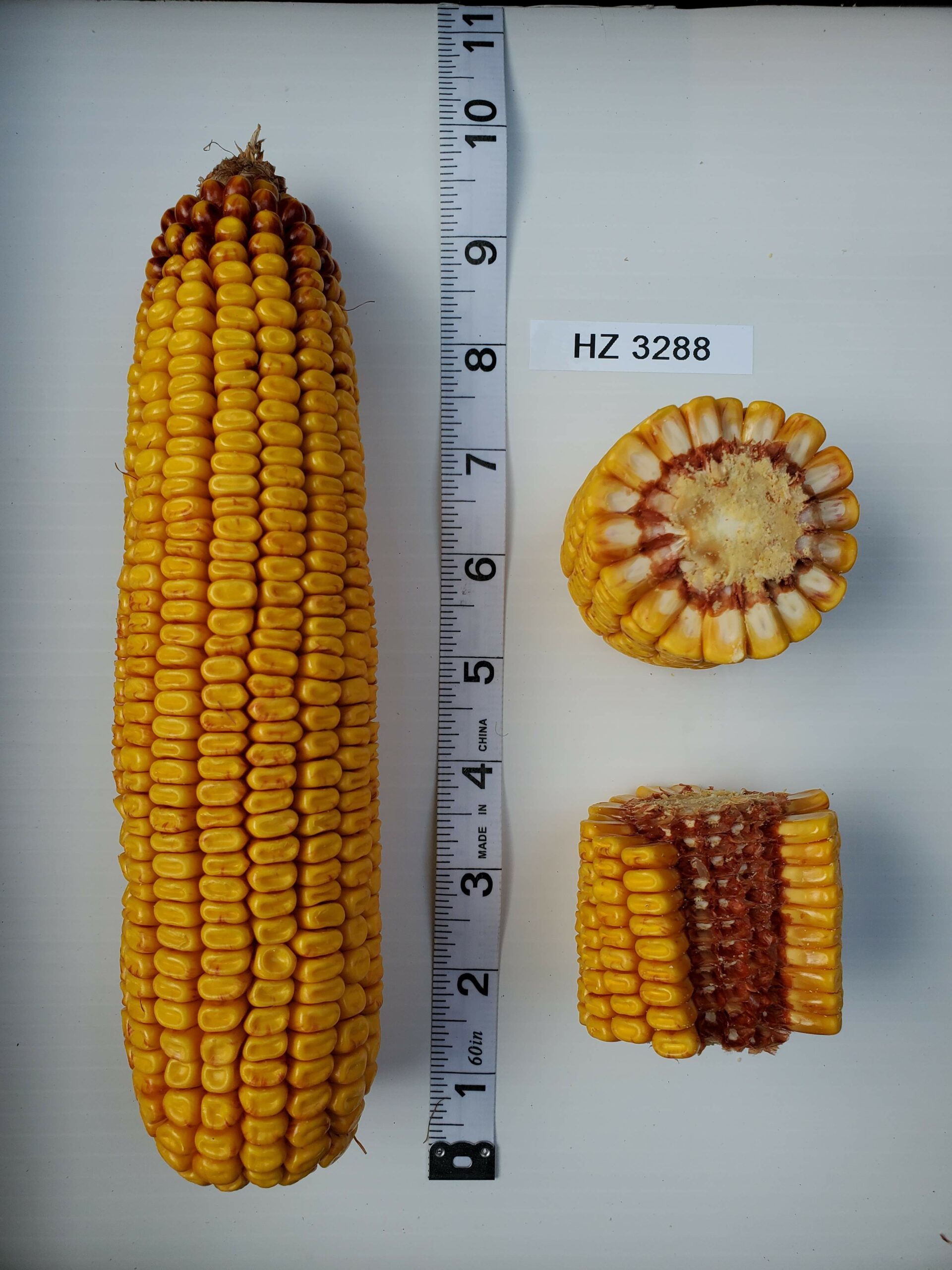 HZ 3288