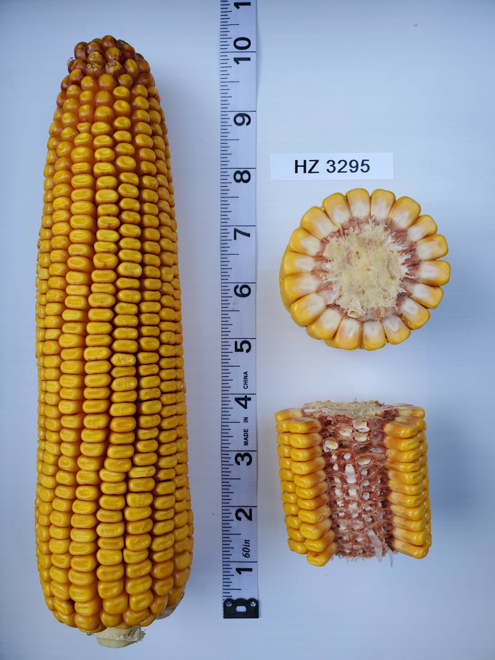 HZ 3295